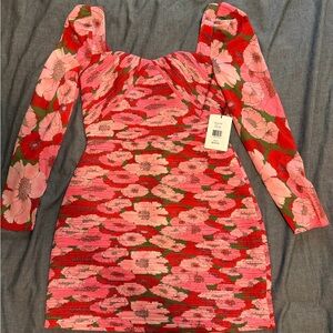 AMUR Floral Pink and Red Dress